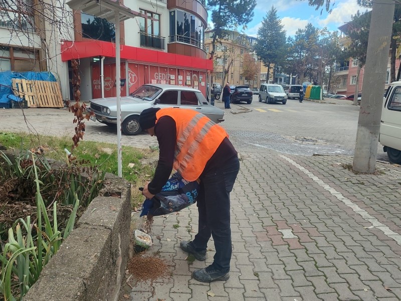 Gediz’de sokak hayvanlarına mama desteği
