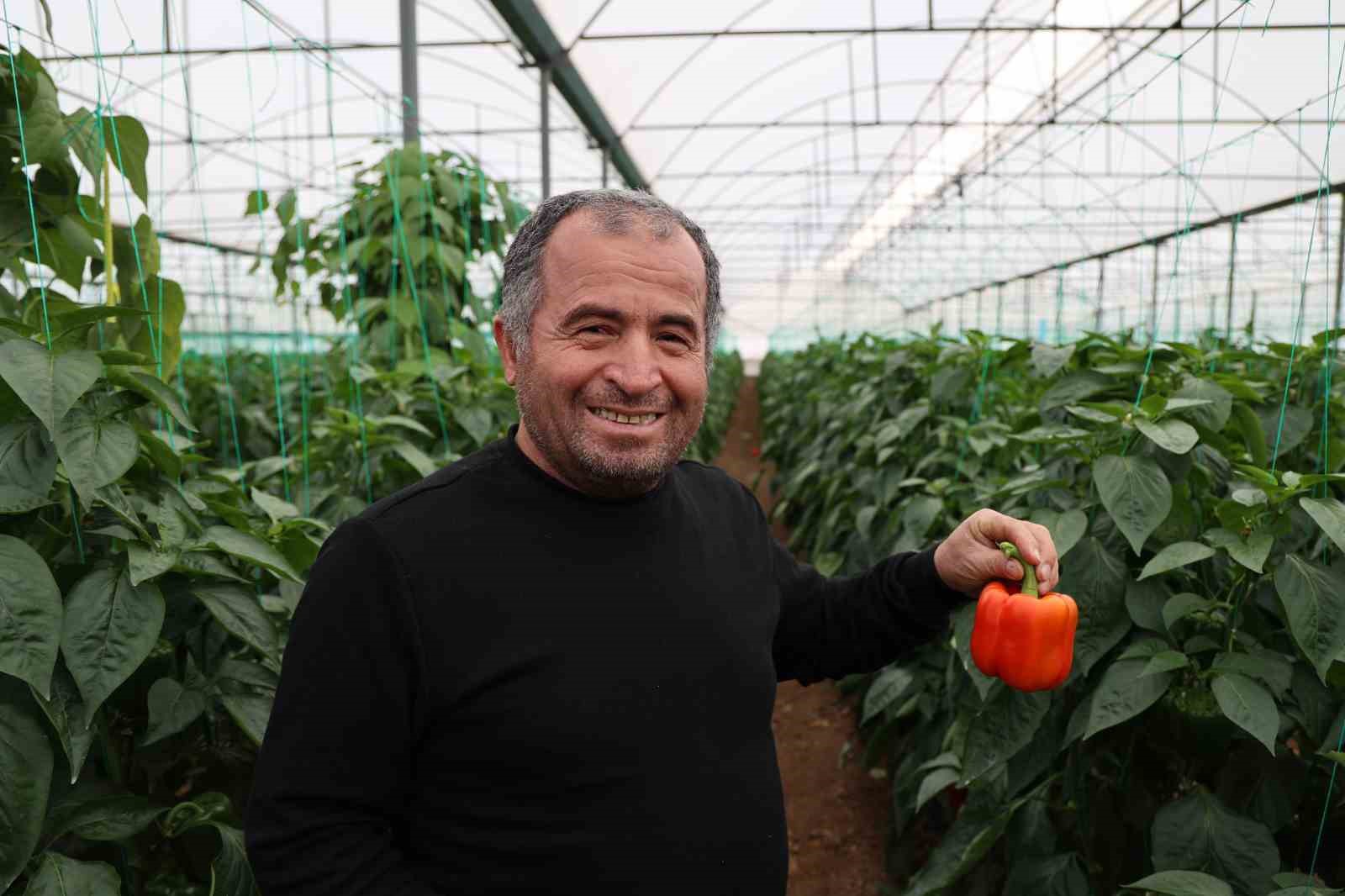 Seralarda sıcaklık ve nem takibi artık cepte
