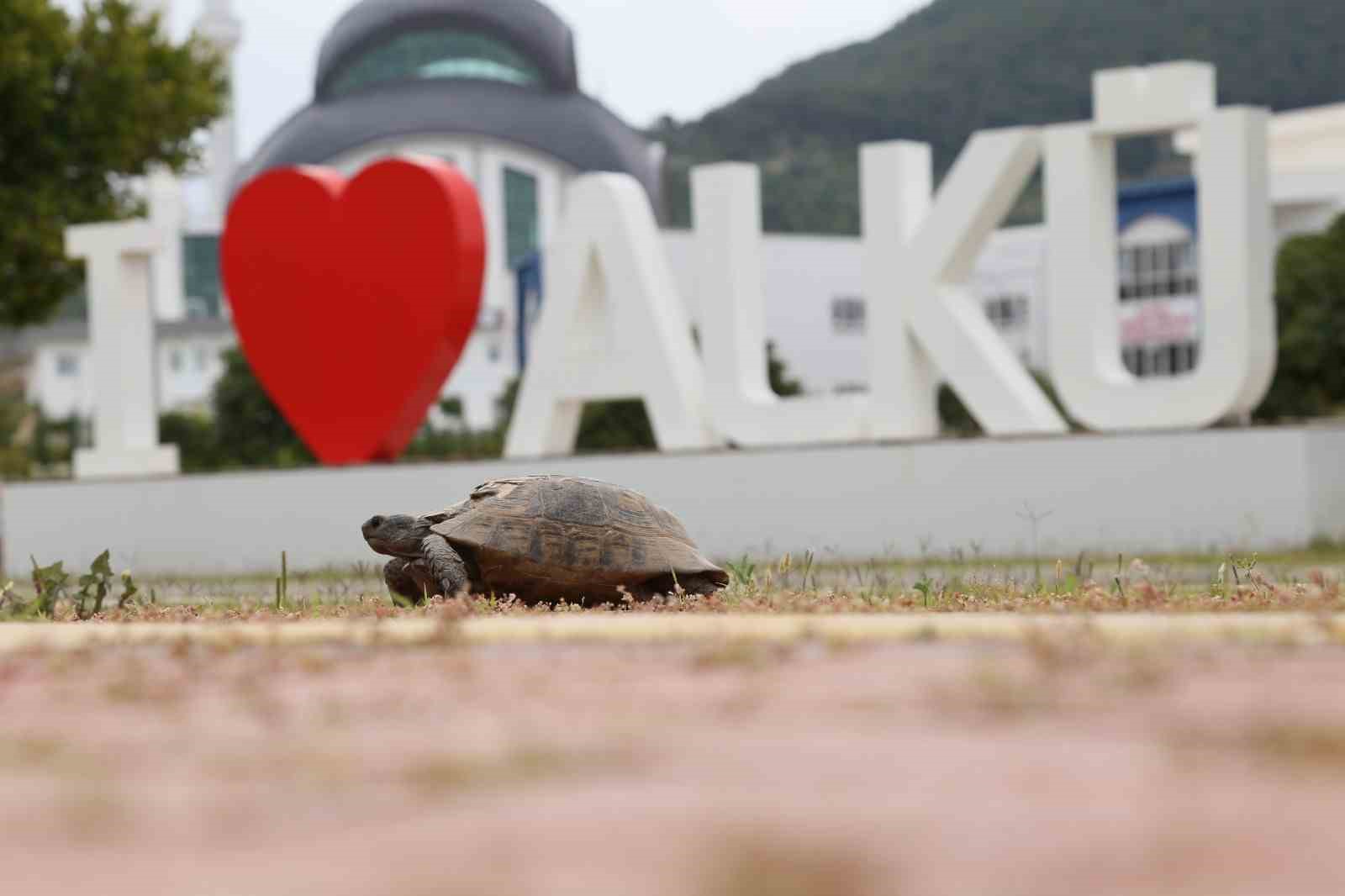 ALKÜ’den GreenMetric başarısı
