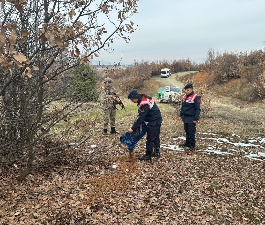 Bing&ouml;l&rsquo;de jandarma ekipleri hayvanlar i&ccedil;in doğaya yem bıraktı
