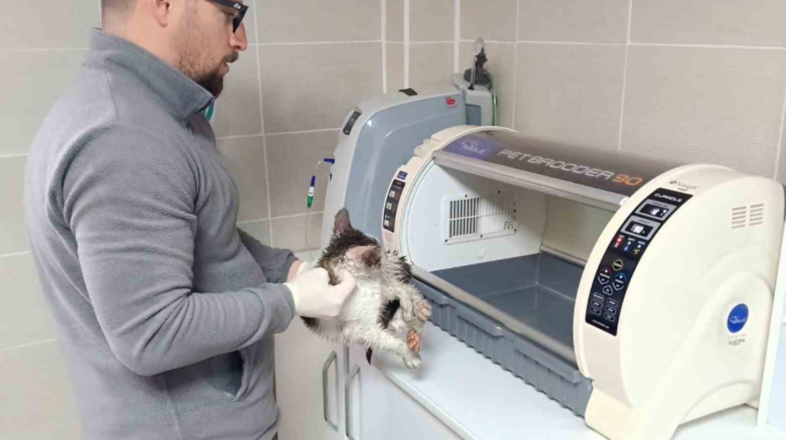 Rize’de dereden kedi kurtarma operasyonu