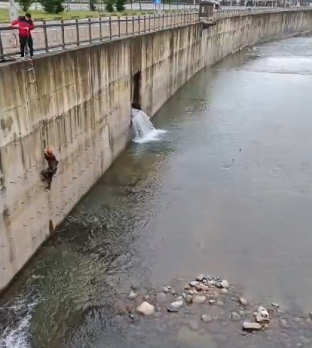 Rize’de dereden kedi kurtarma operasyonu