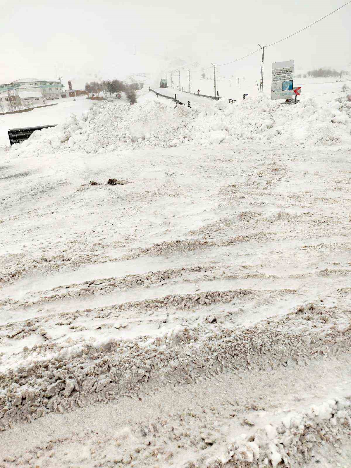 Ardahan’da iki kara yolu tipi ve fırtına nedeniyle ağır tonajlı araçlara kapatıldı
