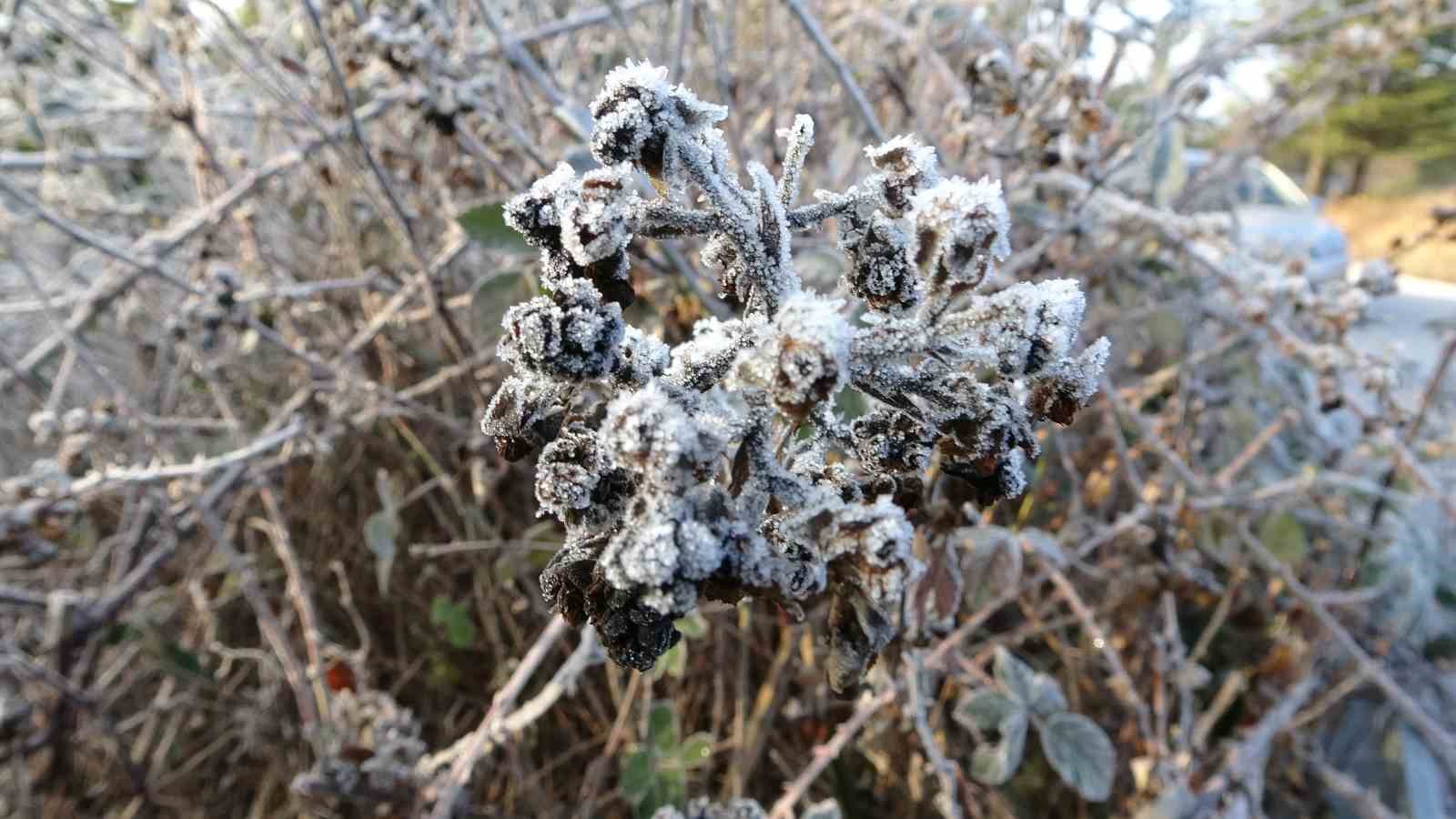 K&uuml;tahya&rsquo;da kırağı g&uuml;zelliği
