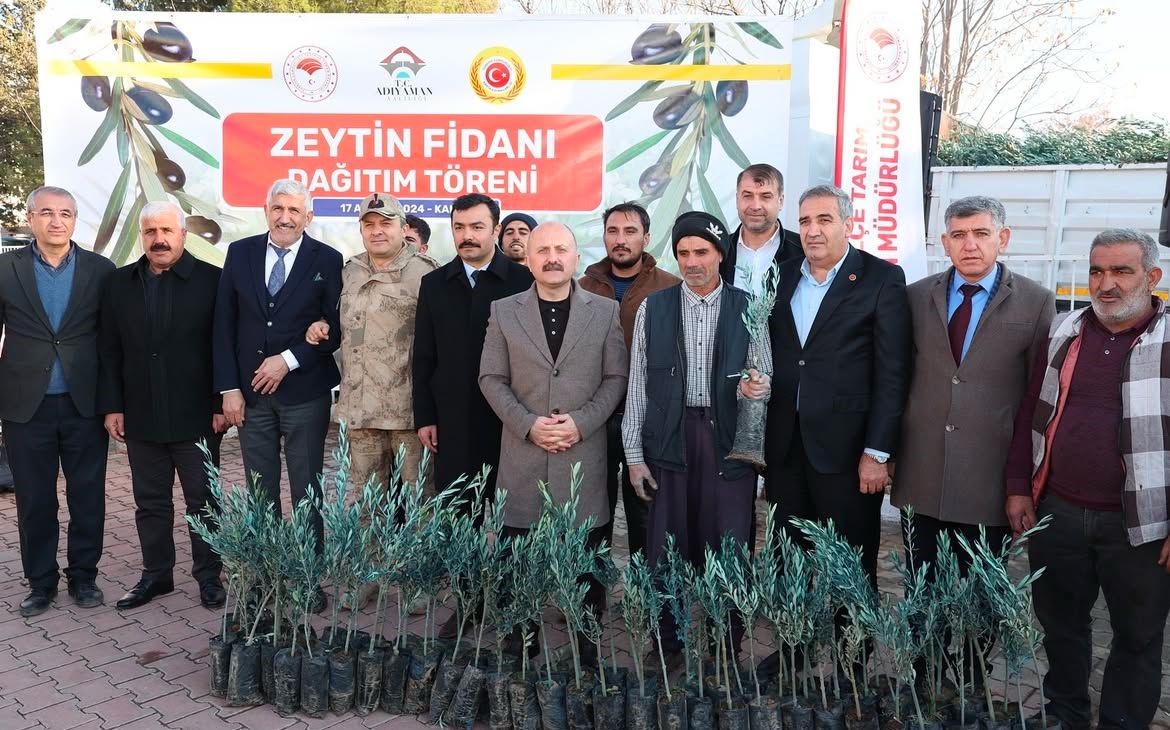 Kahta’da çiftçilere 70 bin zeytin fidanı dağıtıldı