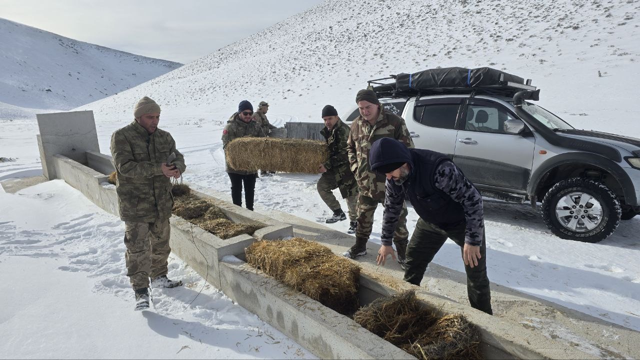 Yılkı atları için karla kaplı Akdağ’a saman taşıdılar