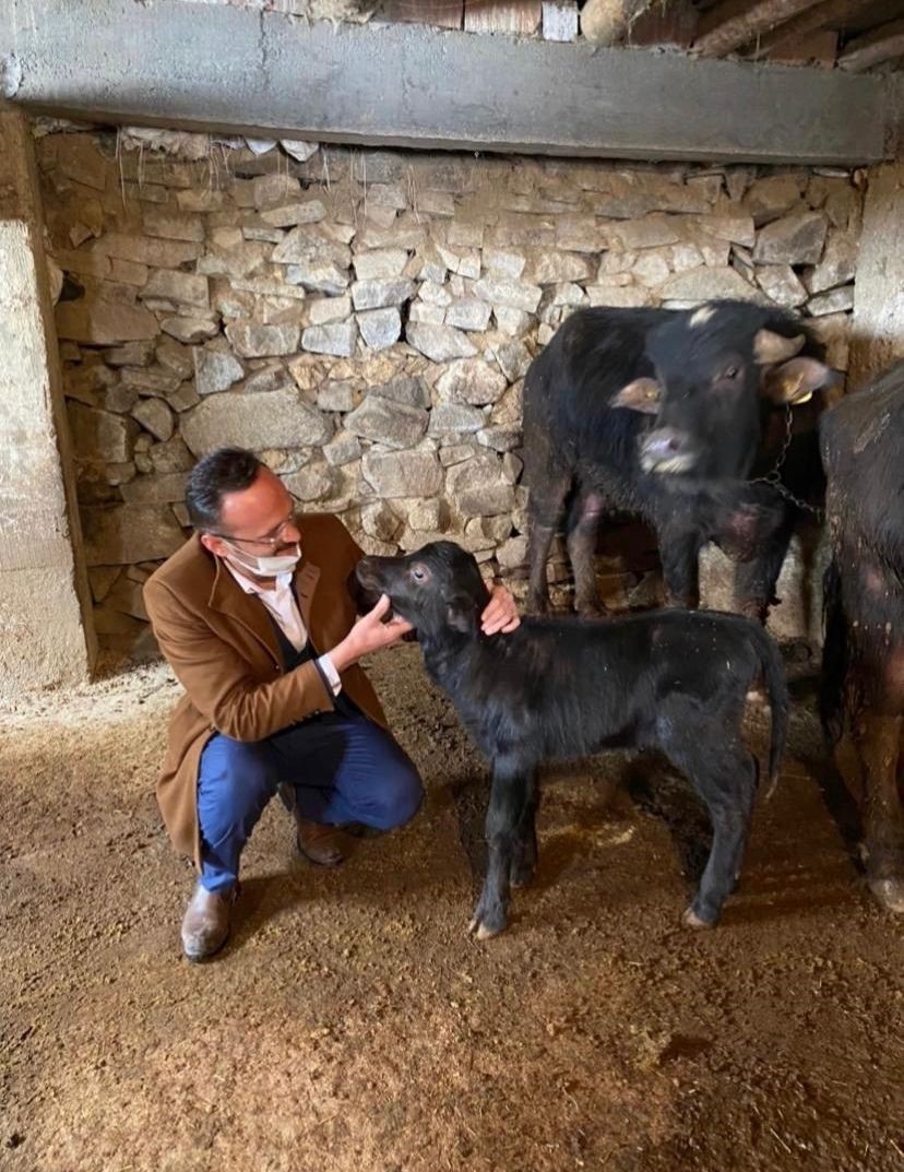 Giresun&rsquo;da 289 manda işletmesine 8 milyon 422 bin 600 TL destek &ouml;demesi yapıldı
