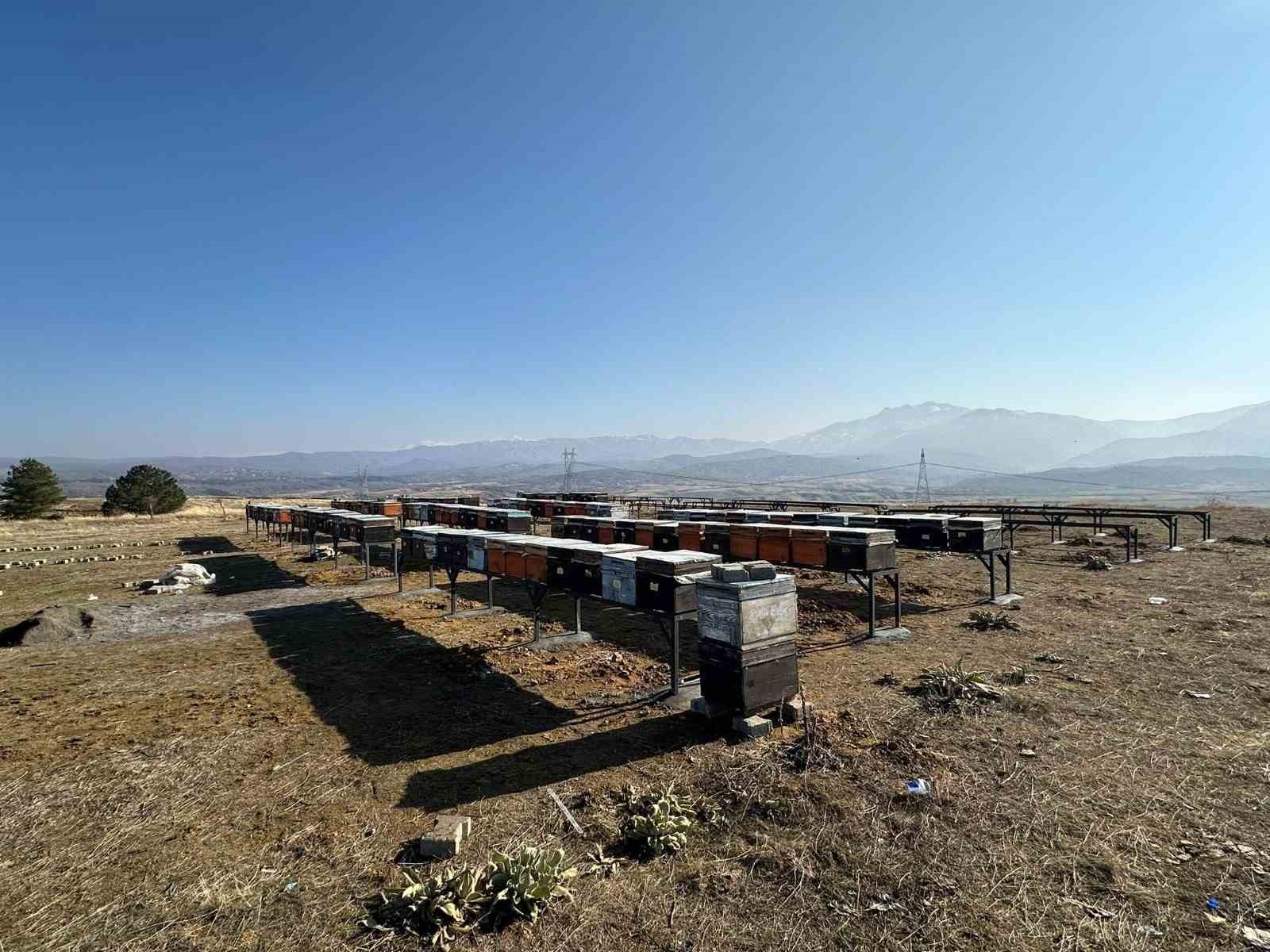 Bing&ouml;l&rsquo;deki  Bal Ormanları&rsquo;na kovan sehpası kuruldu
