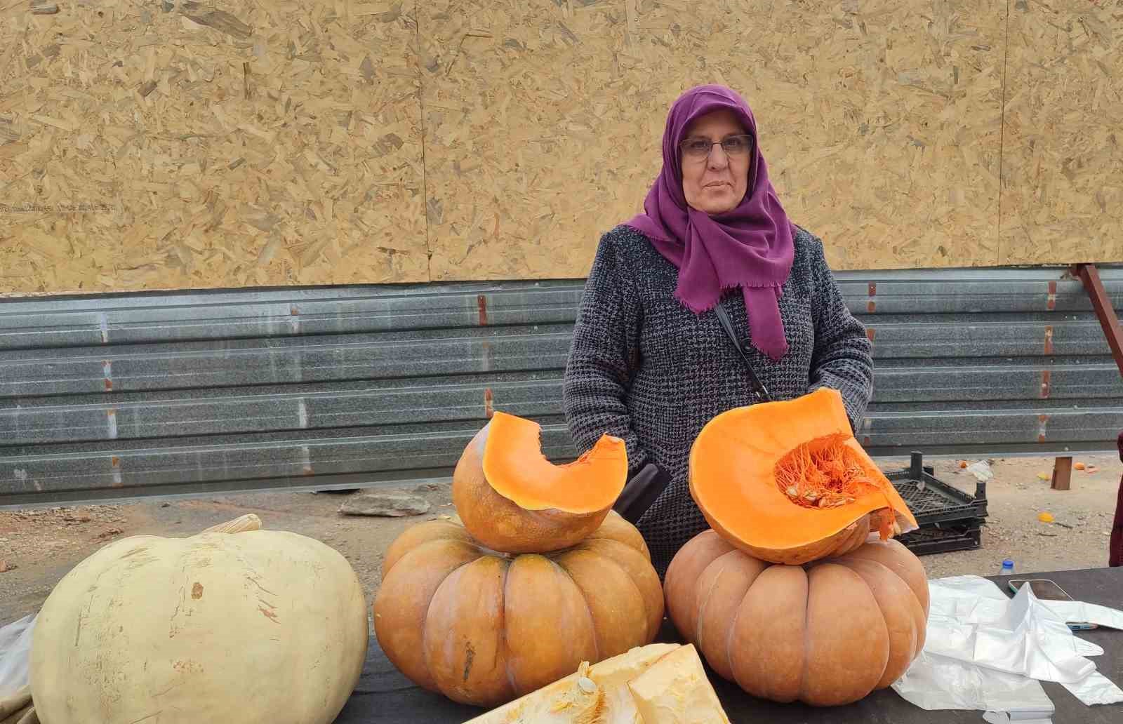 Bahçesinde ürettiği balkabağı geçim kaynağı oldu