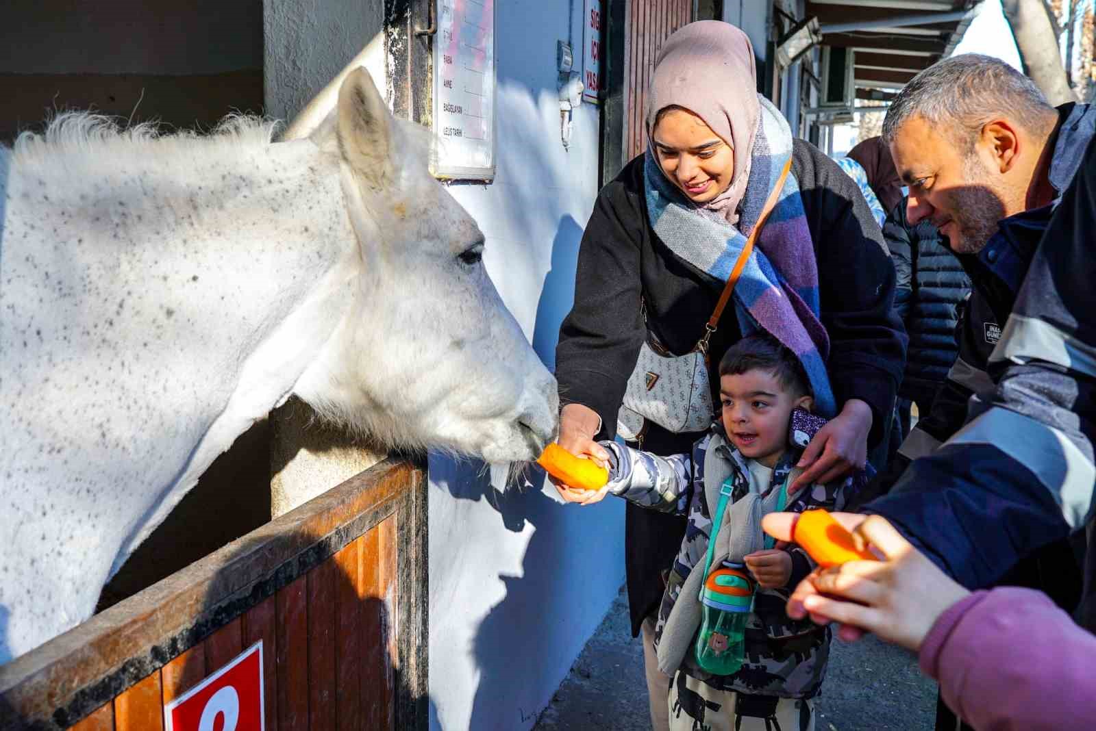 Beyoğlu’nun özel çocukları atlı terapide buluşuyor