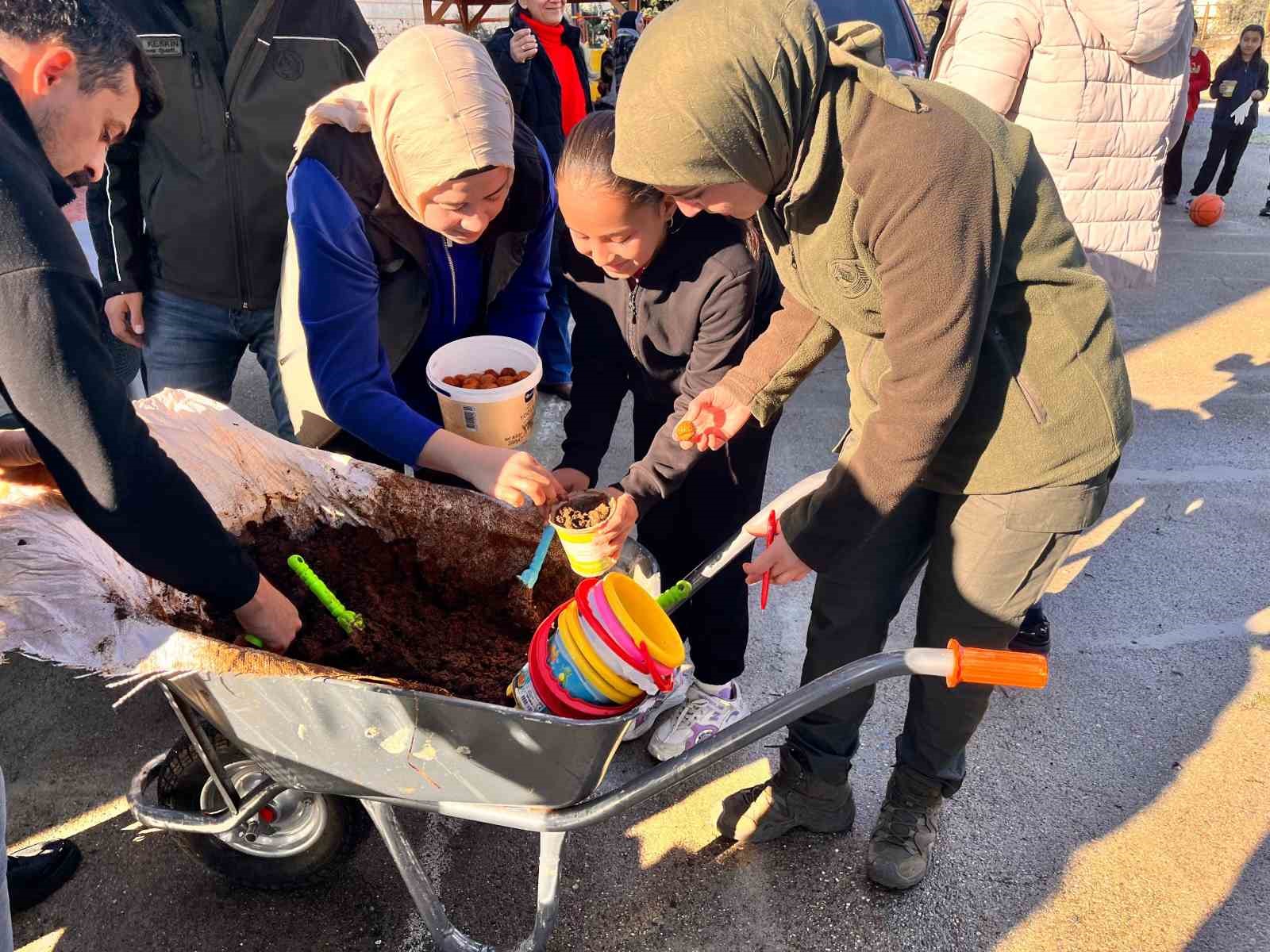 Anamur’da ceviz tohumları toprakla buluşturuldu