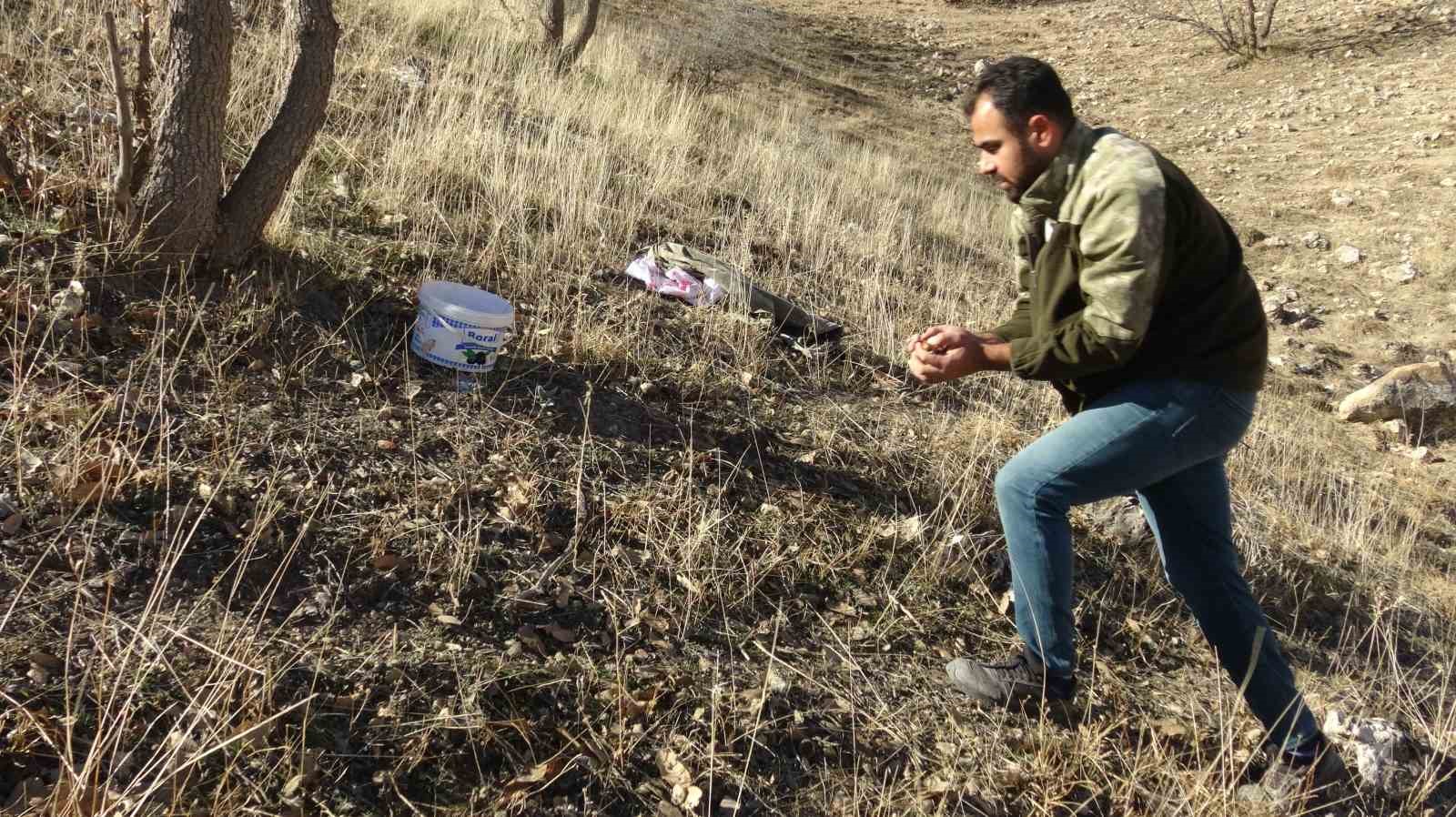 Doğunun kışın vazgeçilmez lezzeti meşe palamudu