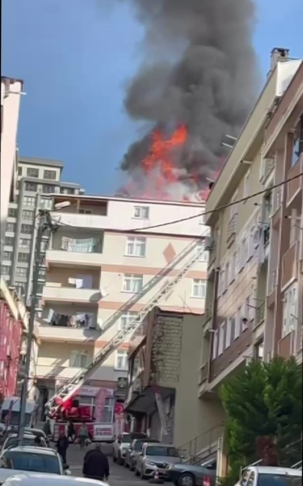Maltepe’de alevler metrelerce yükseldi, vatandaşlar hortumla müdahale etti