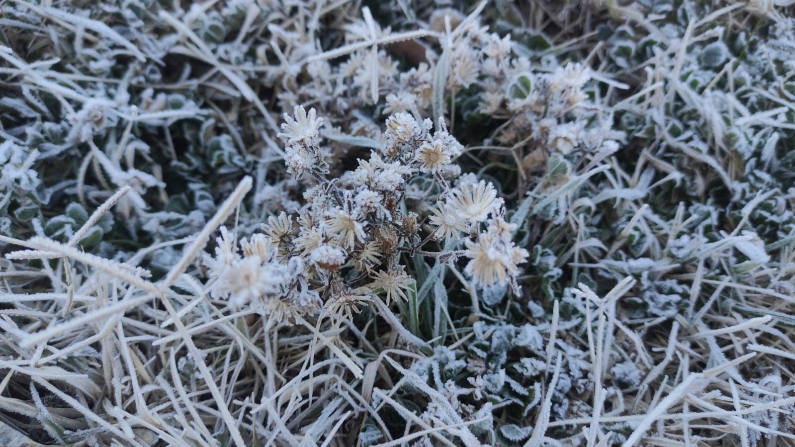 Batman’da kırağı etkisi görsel şölen oluşturdu