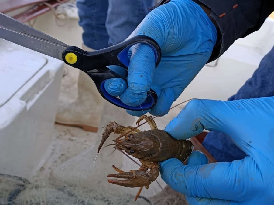 Kırklareli Kayalı Barajı&rsquo;nda ka&ccedil;ak av denetimi
