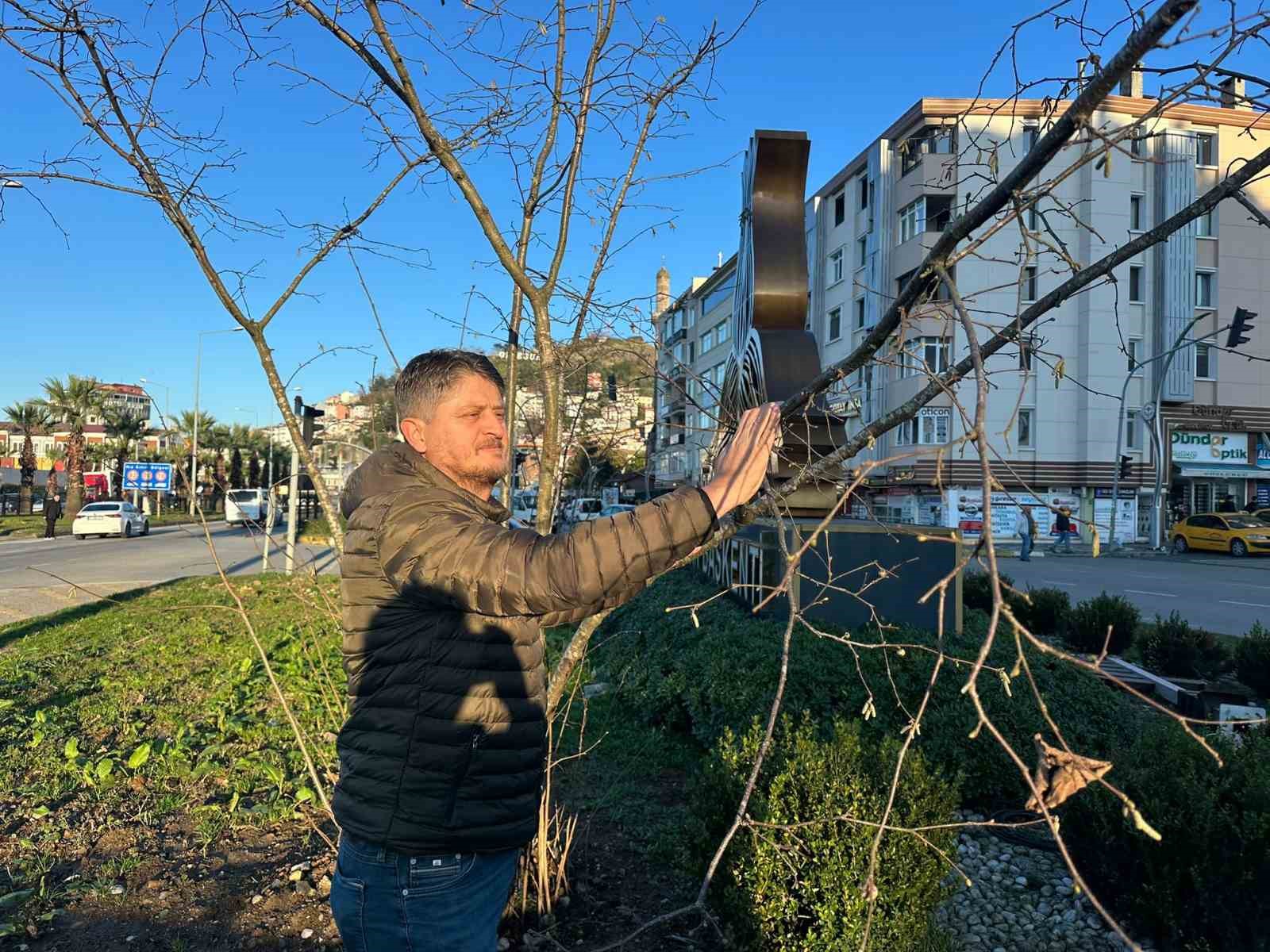 Giresun’da kavşaklar fındık ağaçları ile süslenecek
