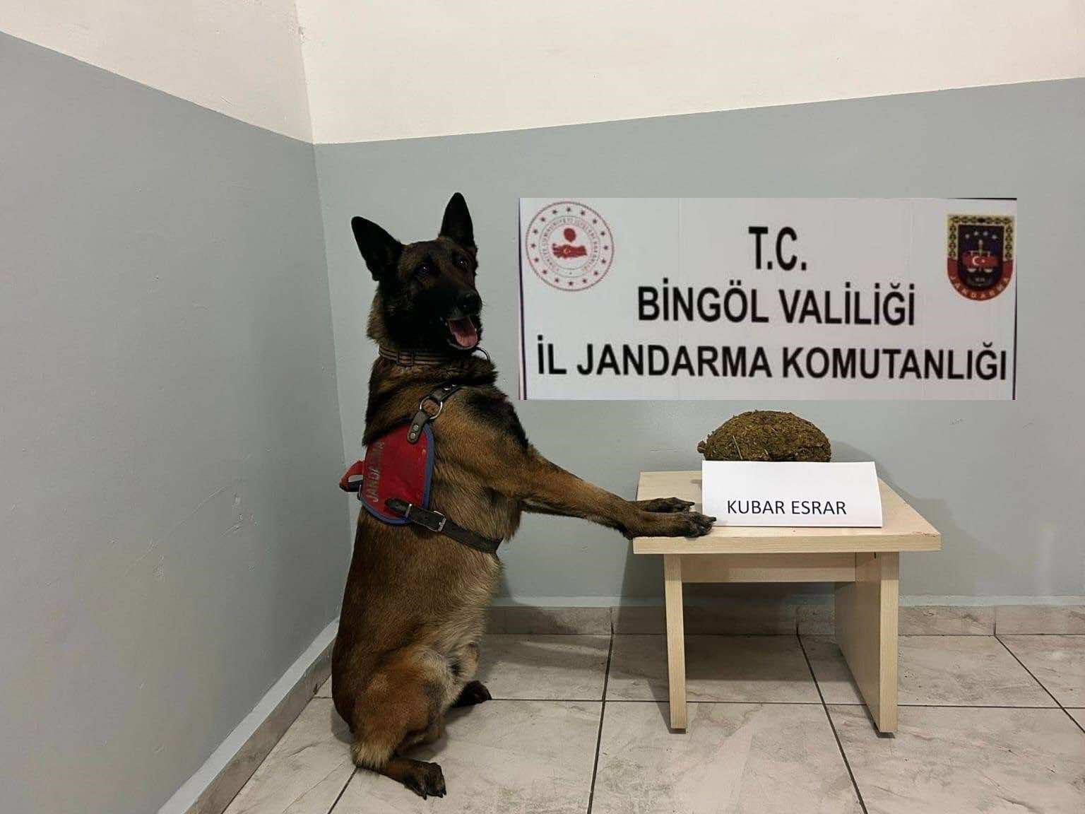 Bingöl’de uyuşturucu ve  aranan şahıslara yönelik çalışma