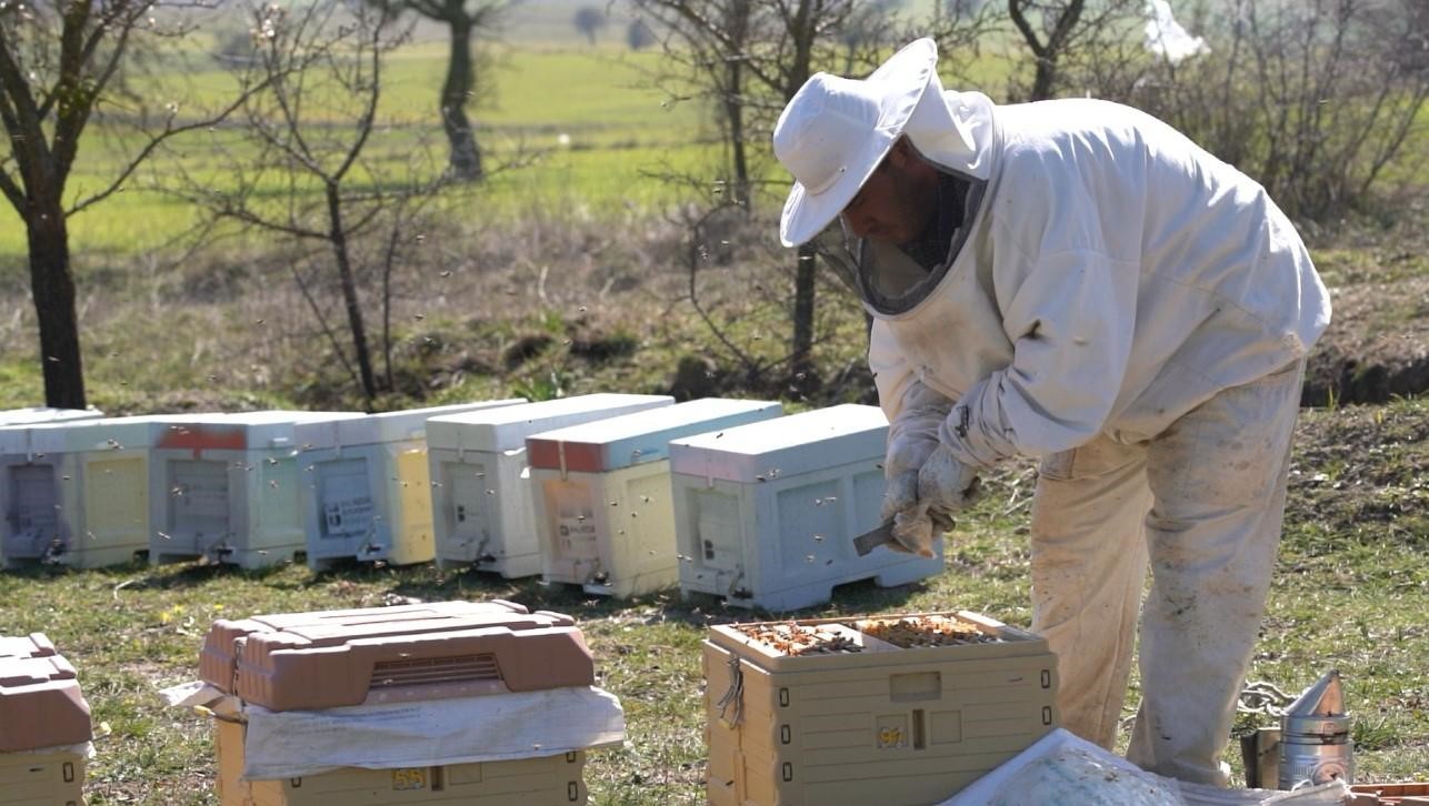BAÇEM’de uygulamalı arıcılık kursu başlıyor