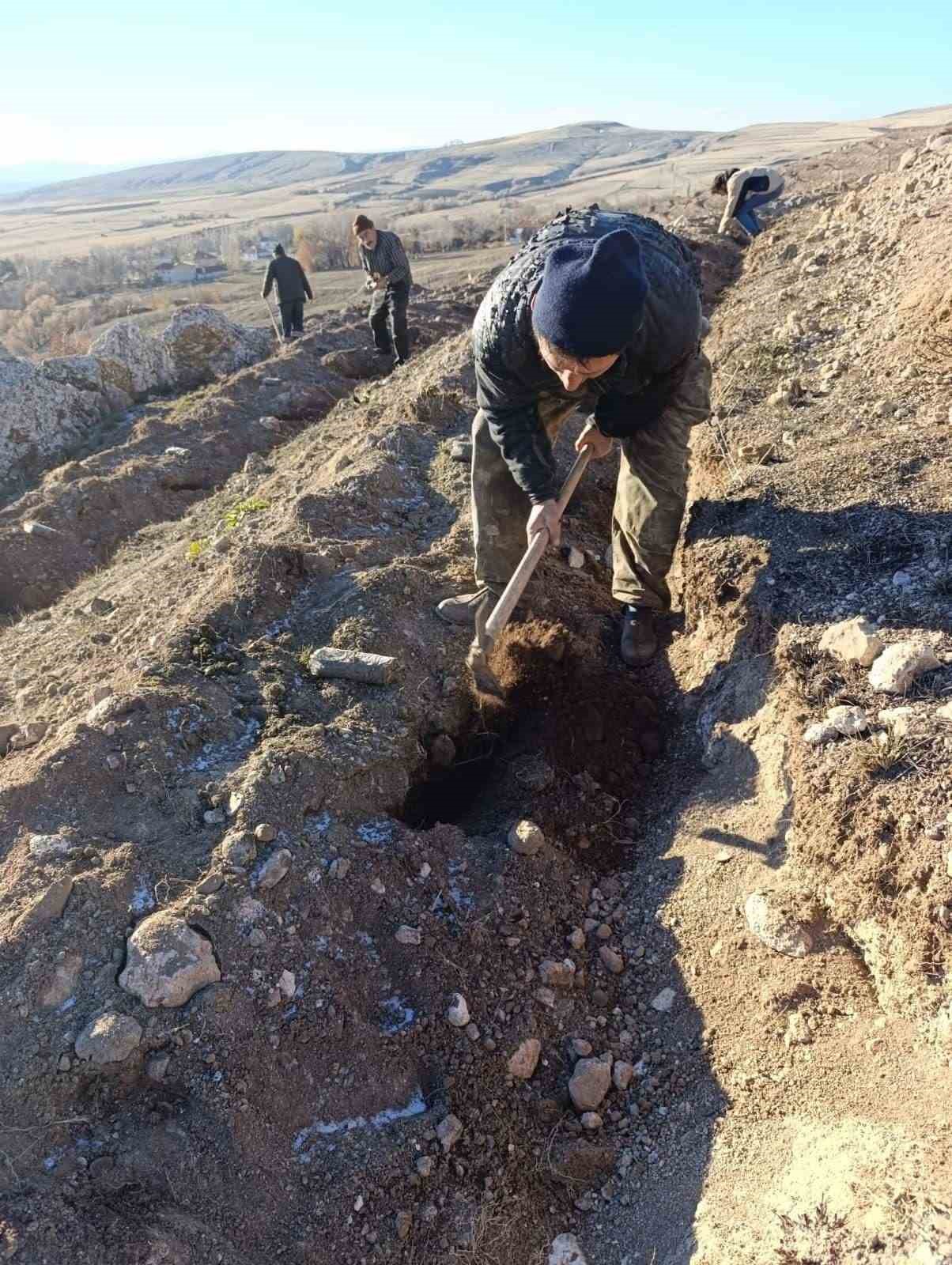 Kül olmuştu, yeniden yeşerecek
