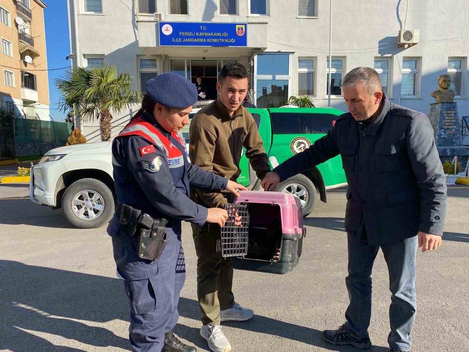 Sakarya’da kaçak avcılık yapan şahsa 48 bin 250 TL ceza
