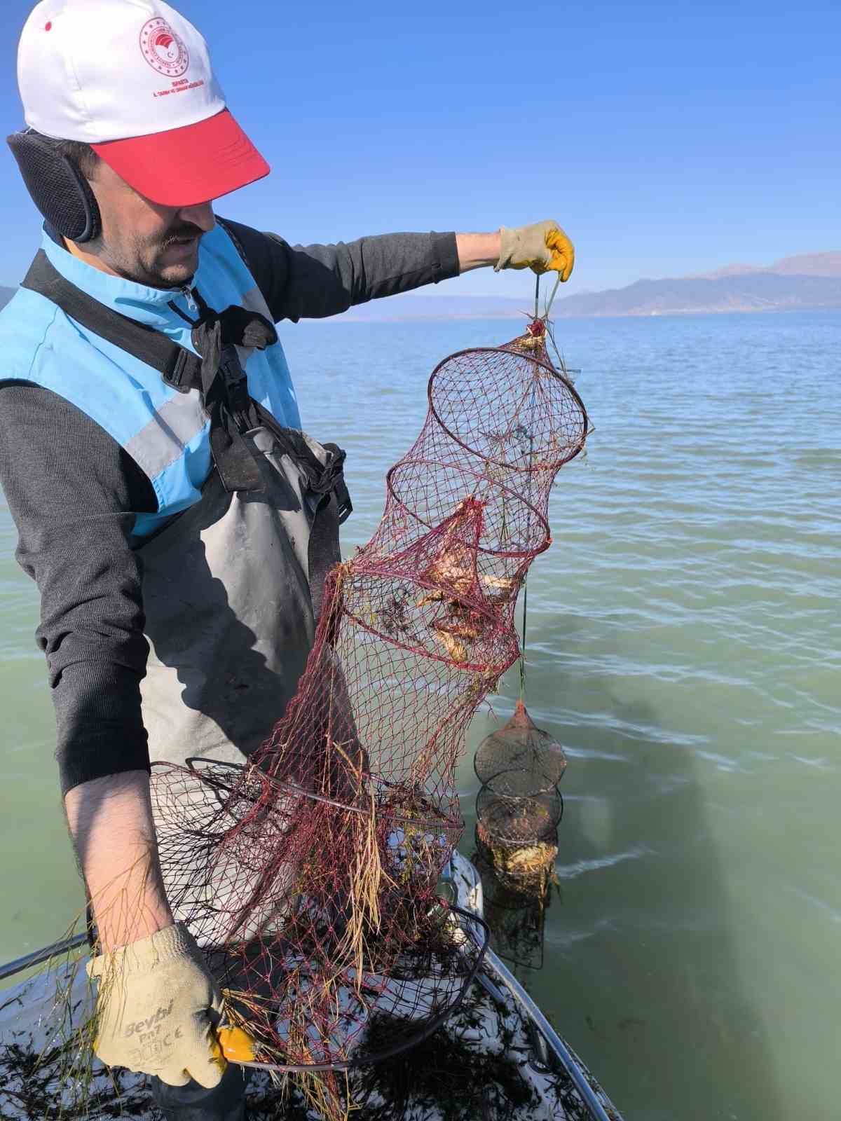 Eğirdir G&ouml;l&uuml;&rsquo;nde yasak avcılara b&uuml;y&uuml;k darbe 200 kilo Kerevit kurtarıldı
