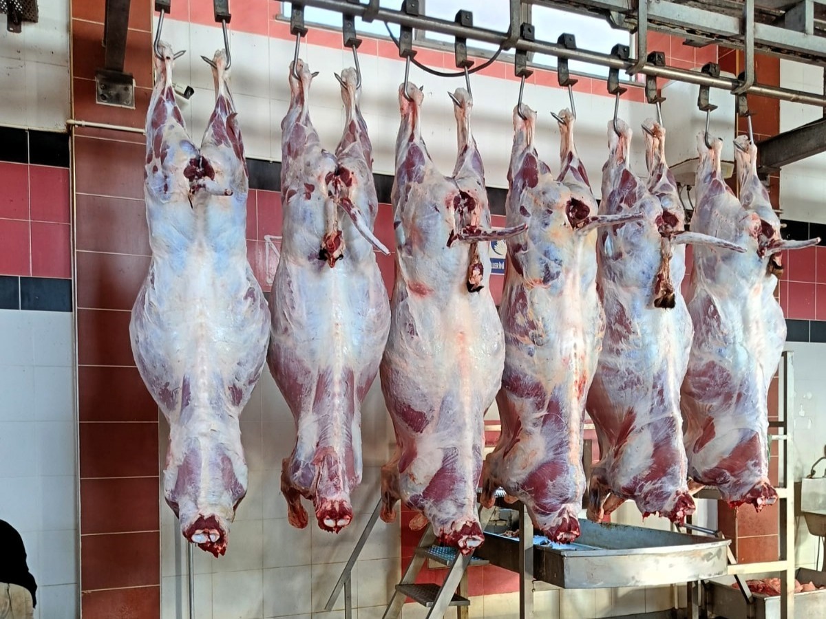 Babaeski&rsquo;de hayvan ka&ccedil;ak&ccedil;ılarına 139 bin 986 TL para cezası
