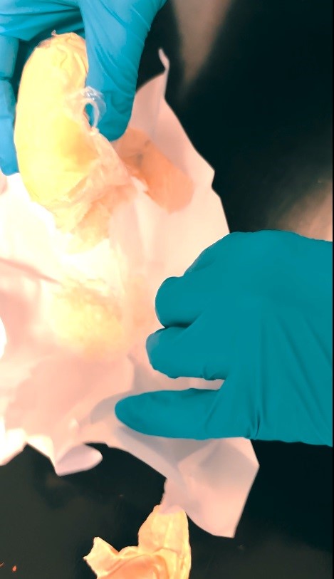 Muş&rsquo;ta narkotik operasyonu: 1 kişi tutuklandı
