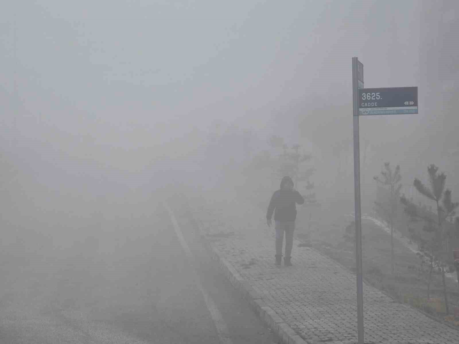 Elazığ’da yoğun sis etkili oldu, bir mahalle adeta kayboldu