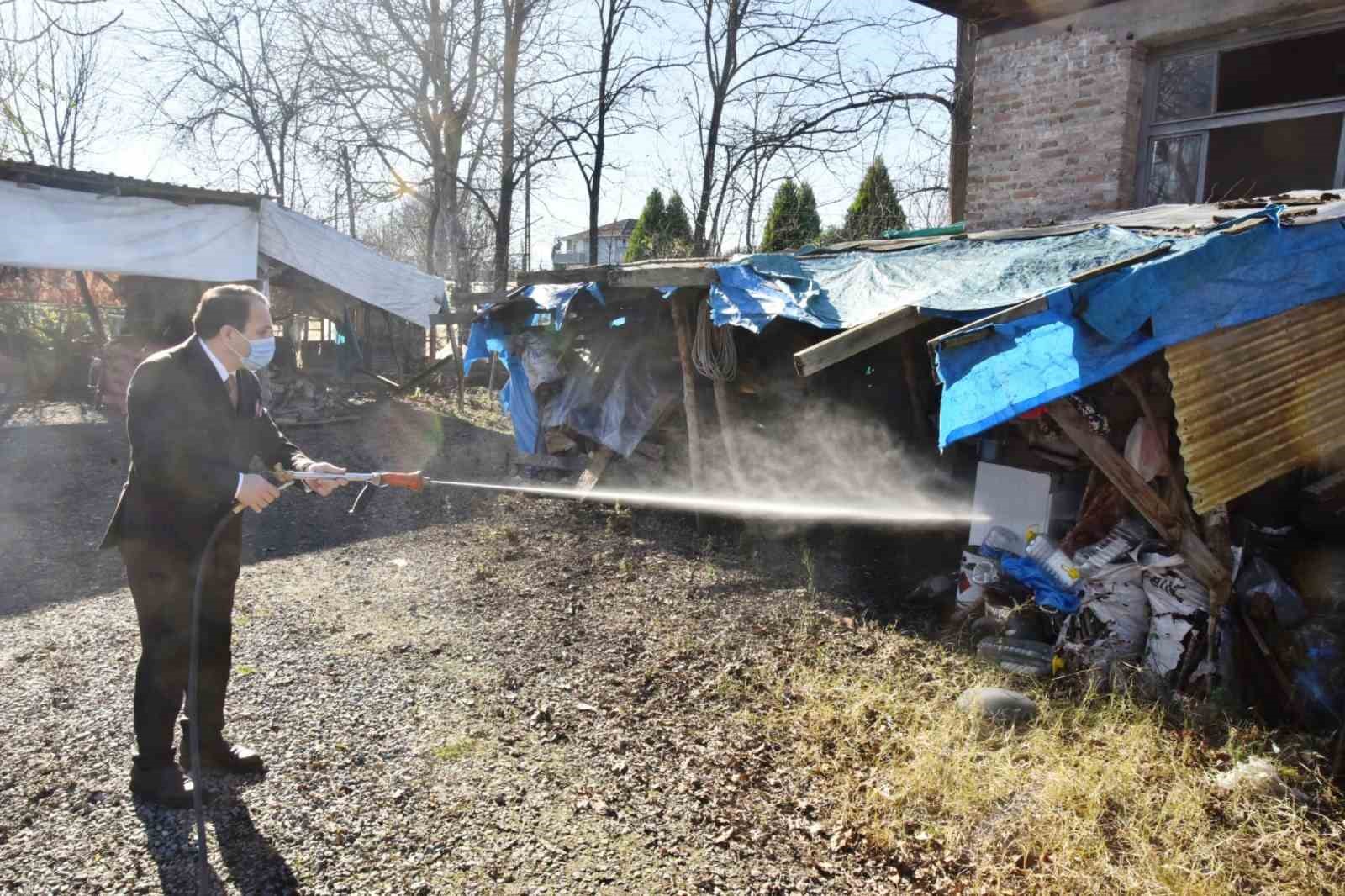 Belediye başkanı kolları sıvayıp, kahverengi kokarca ilaçlamasına katıldı
