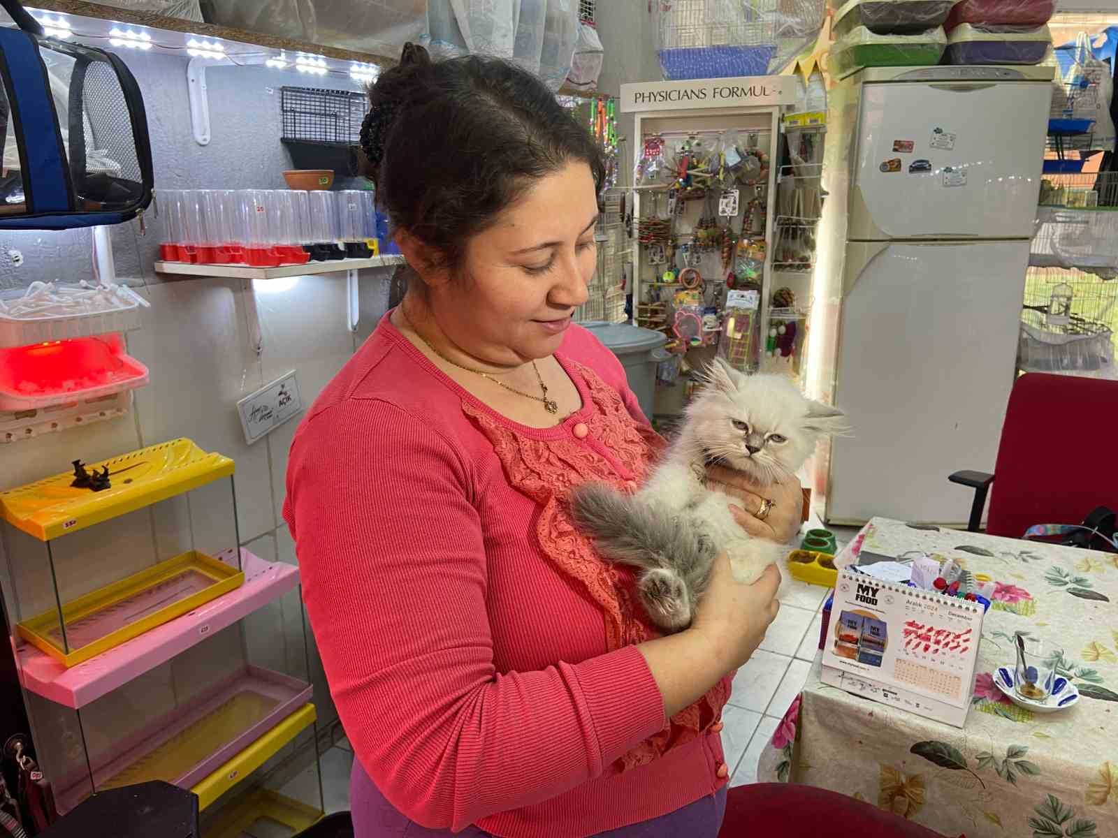 İzmir’de şaşırtan hırsızlık: Cins kediyi montunun içine gizleyip çaldı
