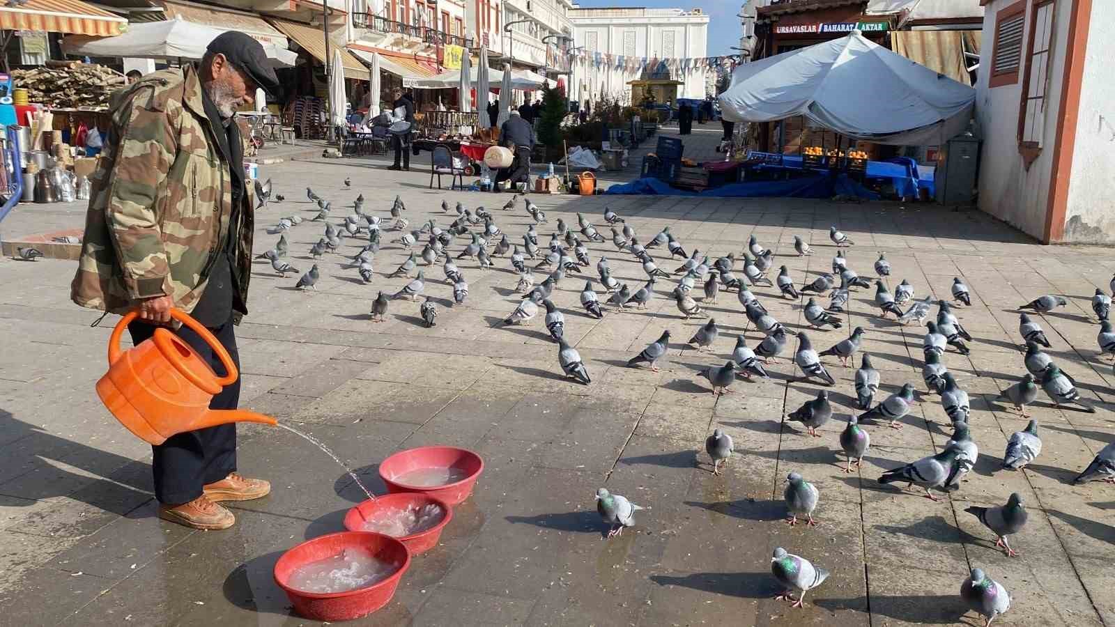 Yozgat esnafından güvercinlere şefkat eli