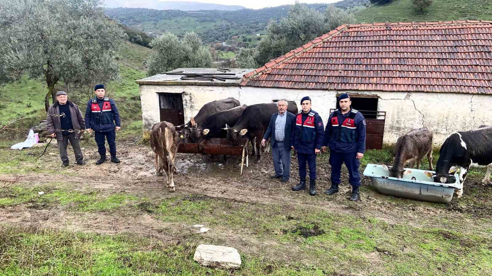 Jandarmanın titiz çalışması sonuç verdi, hayvan hırsızları yakalandı
