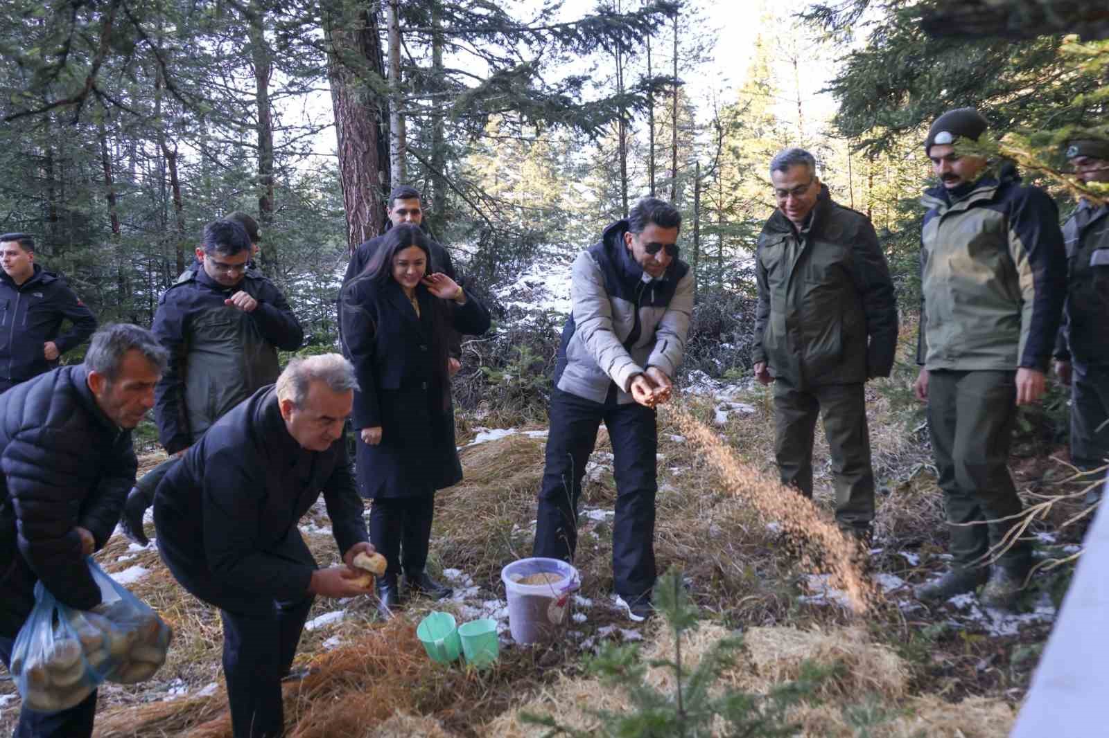 Doğada aç kalan yaban hayvanları için yem bıraktılar