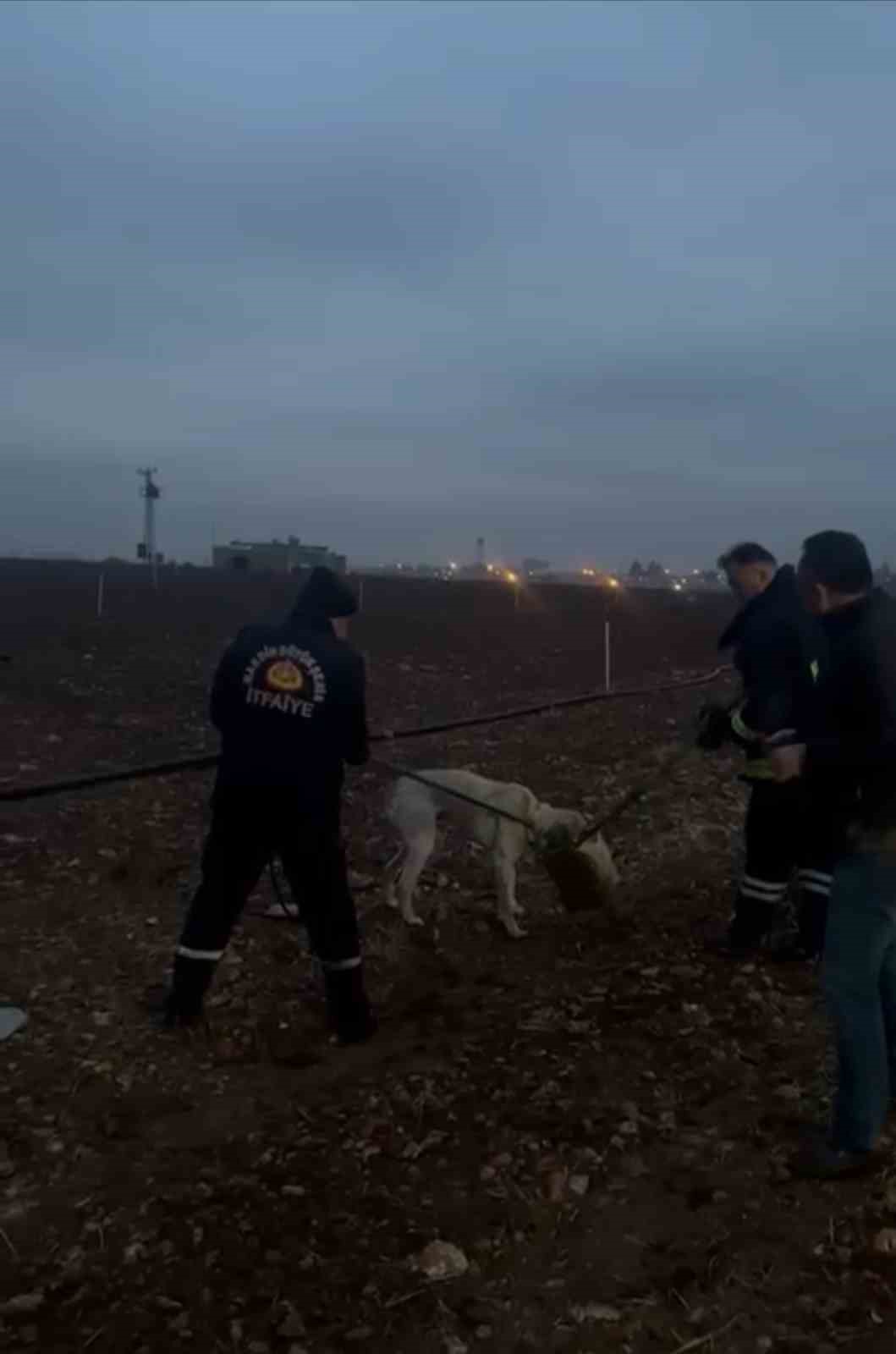 Başı tenekeye sıkışan köpeğin imdadına itfaye yetişti
