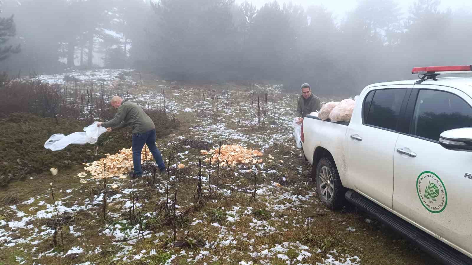 Spil’de yaban hayatı unutulmadı
