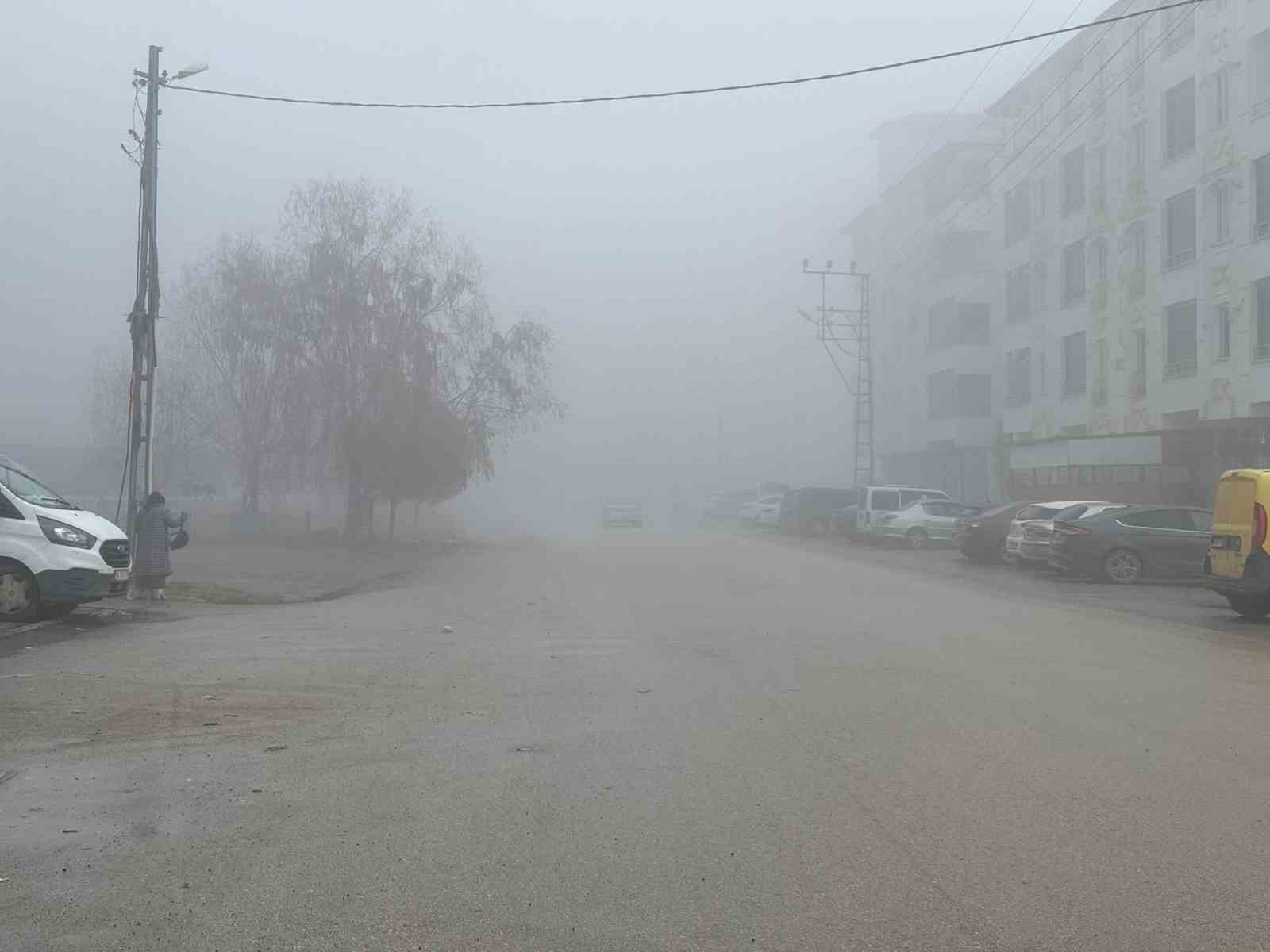 Iğdır’da yoğun sis etkili oldu