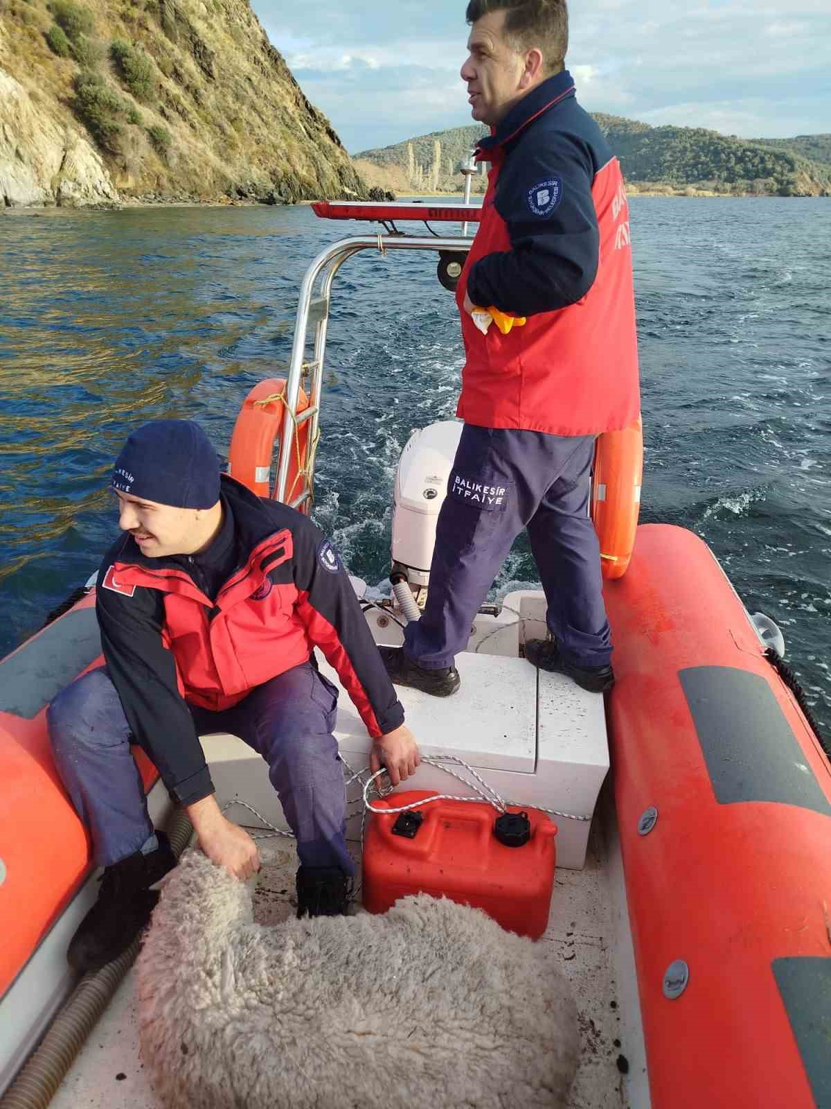 Erdek&rsquo;te kayalıklarda mahsur kalan koyun kurtarıldı
