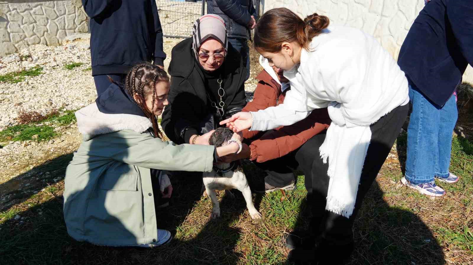 Öğrencilerden sokak hayvanlarına 225 kilo mama bağışı
