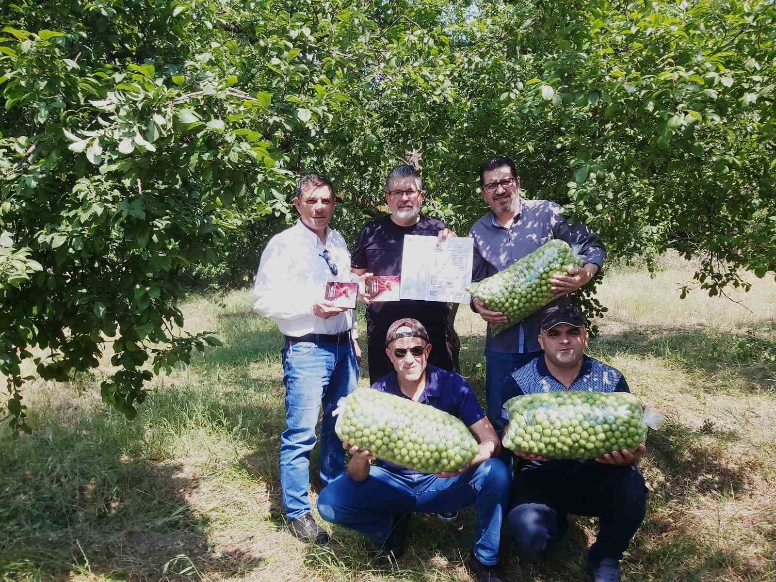 Karya Farma HBX Ar-Ge, organik tarım çalışması başlattı
