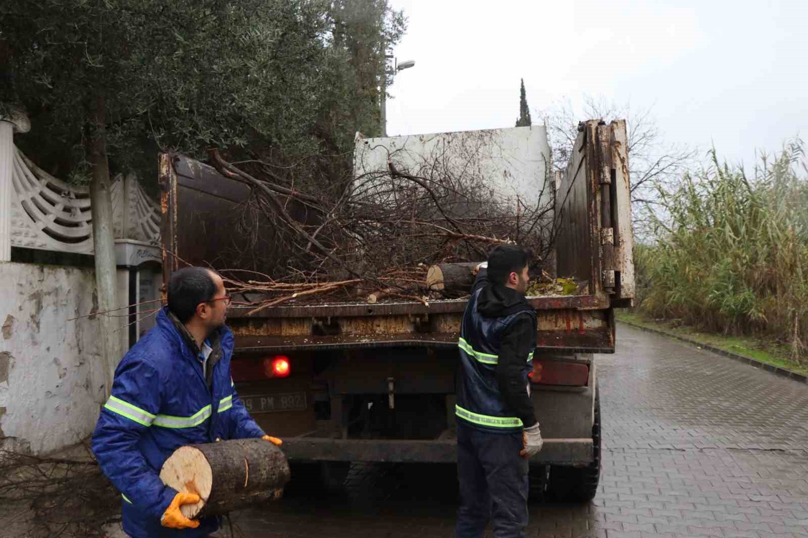 Nazilli’de devrilen ağaçlar yakacak olarak kullanılacak
