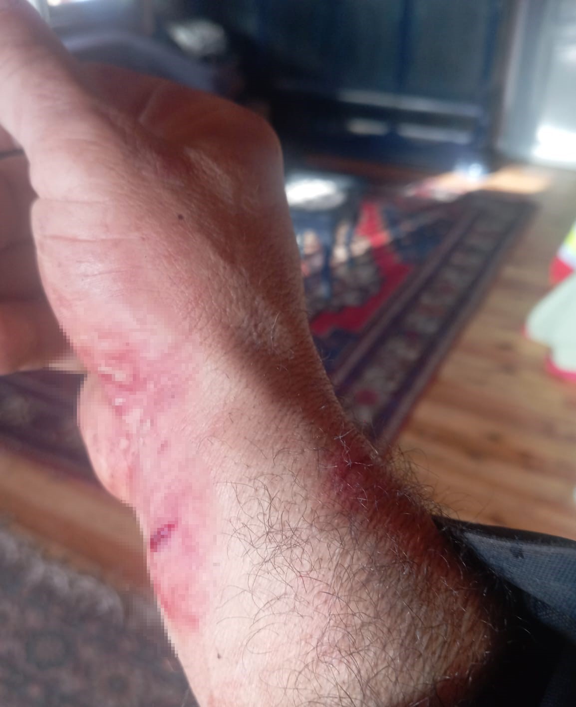 Kurt saldırısından k&ouml;pekleri sayesinde kurtuldu
