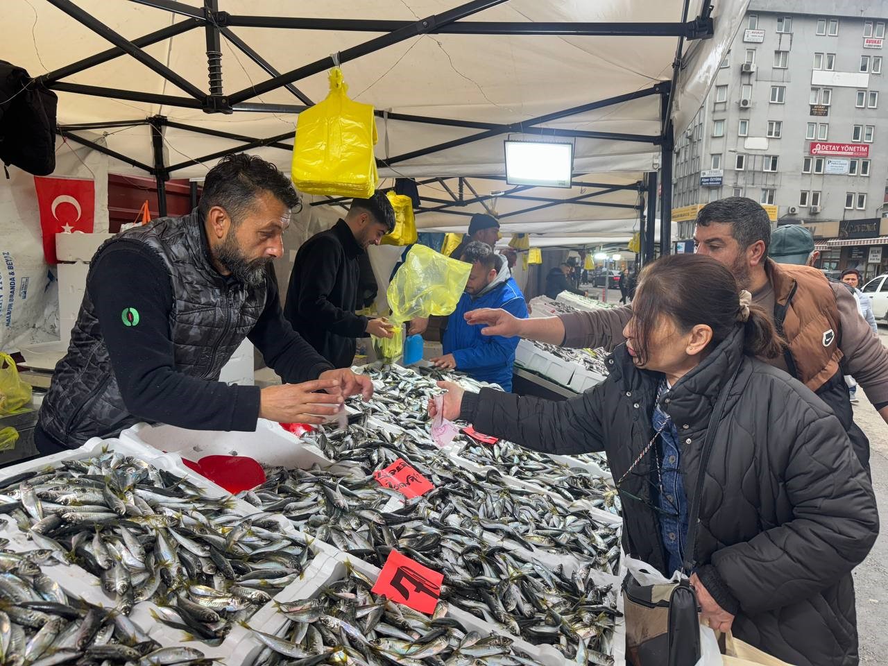 İstavritin bolluğu fiyatları düşürdü
