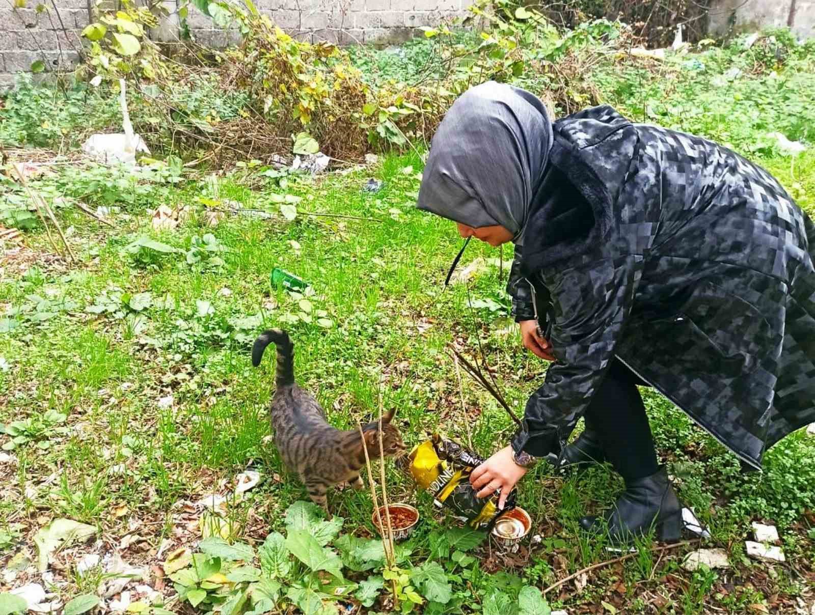 Öğrencilerden sokak hayvanlarına şefkat
