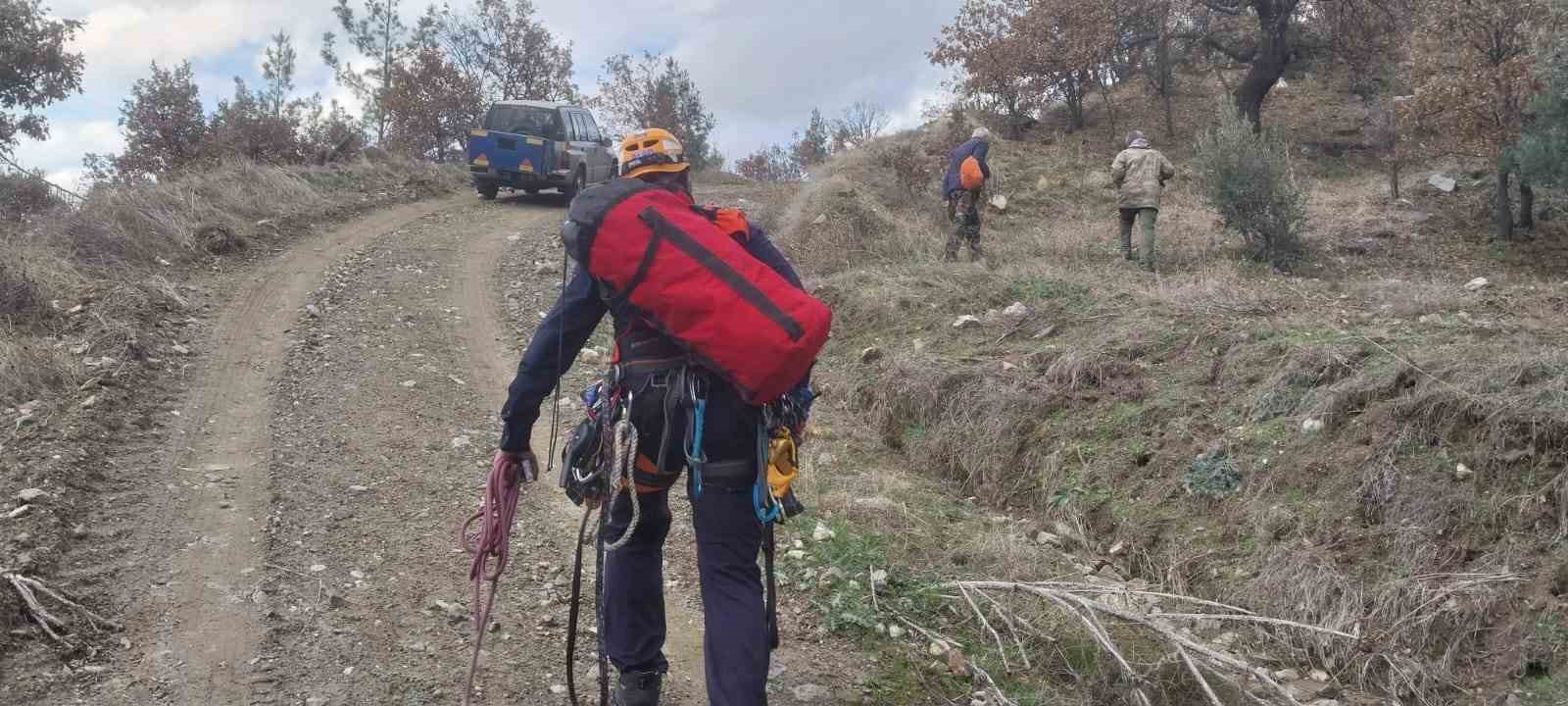 Uçurumda mahsur kalan av köpeğini Aydın AFAD kurtardı
