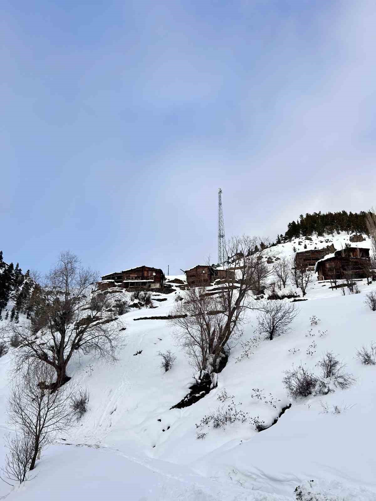 Artvin’de zorlu kış şartlarında hayvanlar için ot taşıma mücadelesi
