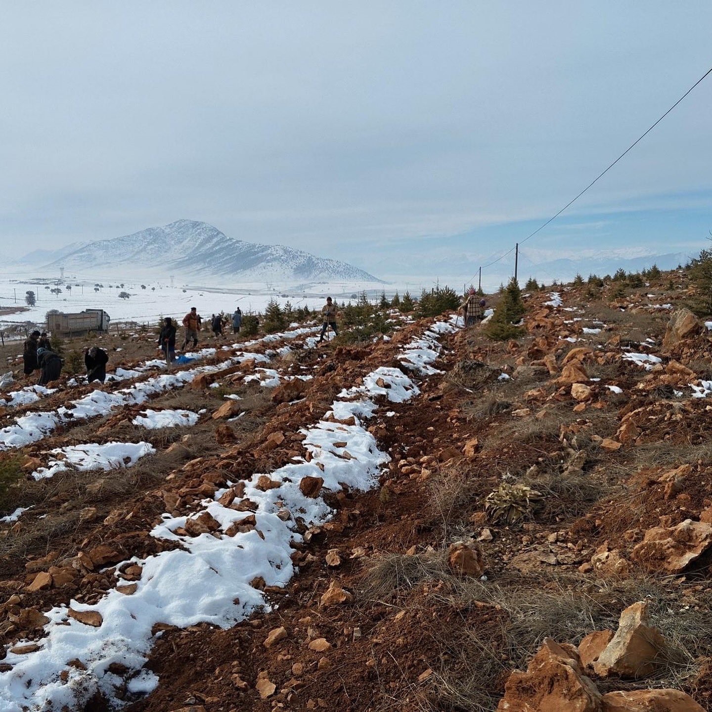 Saimbeyli’de 10 bin fidan dikimi yapıldı
