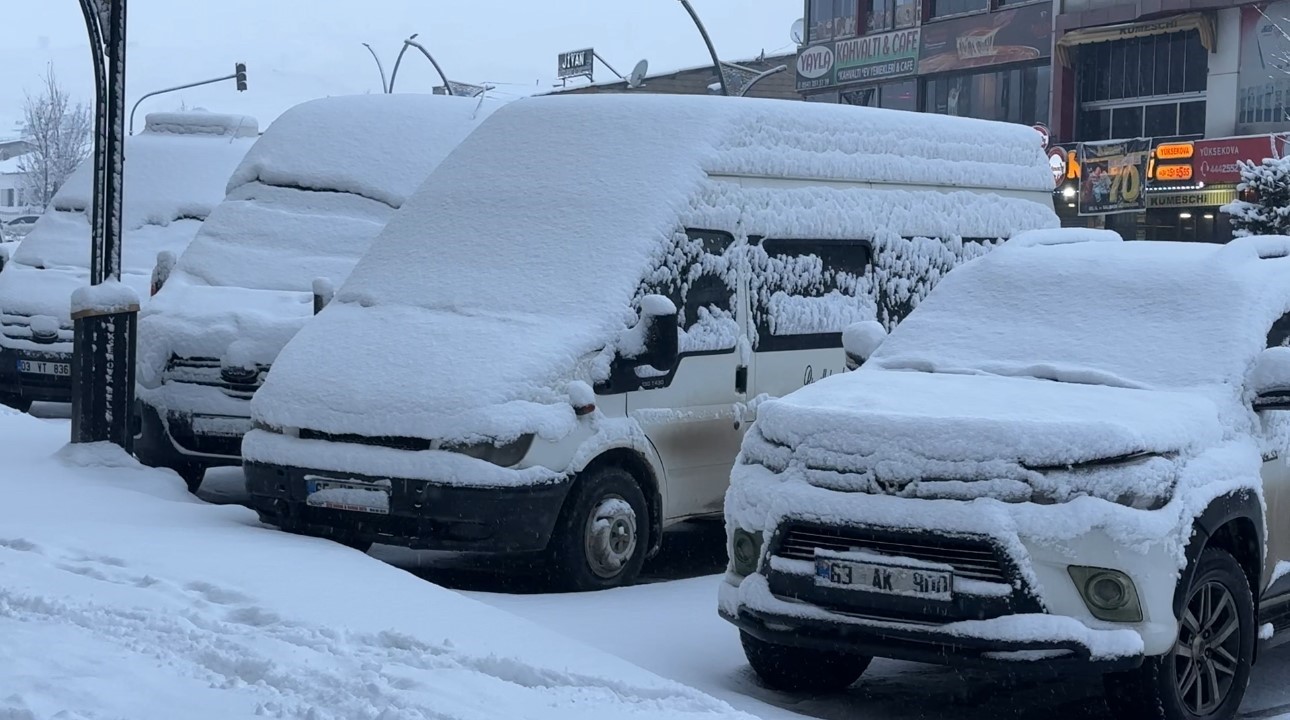 Yüksekova’da lapa lapa kar yağışı başladı
