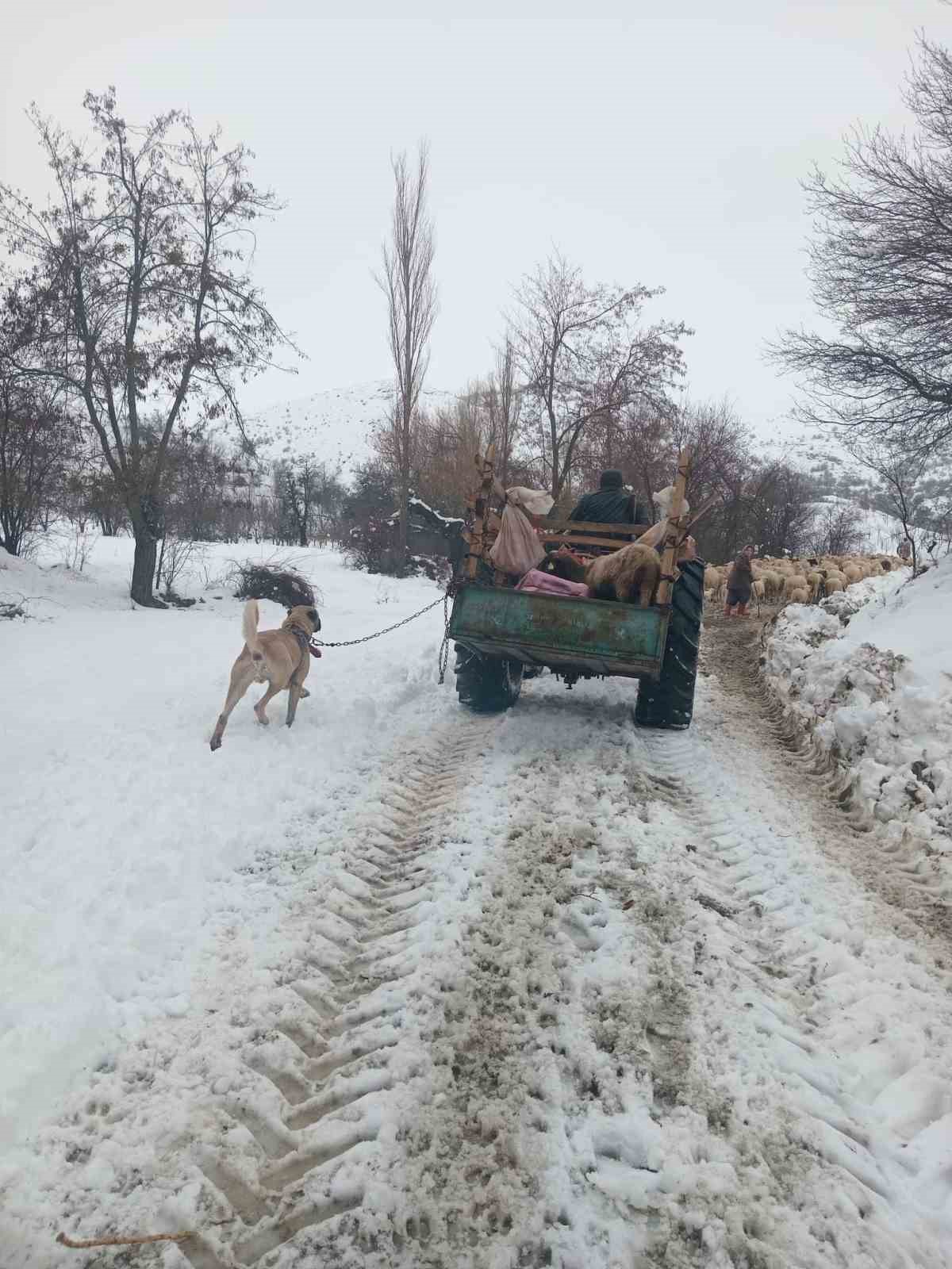 Burdur’da sürüsüyle birlikte mahsur kalan çoban kurtarıldı
