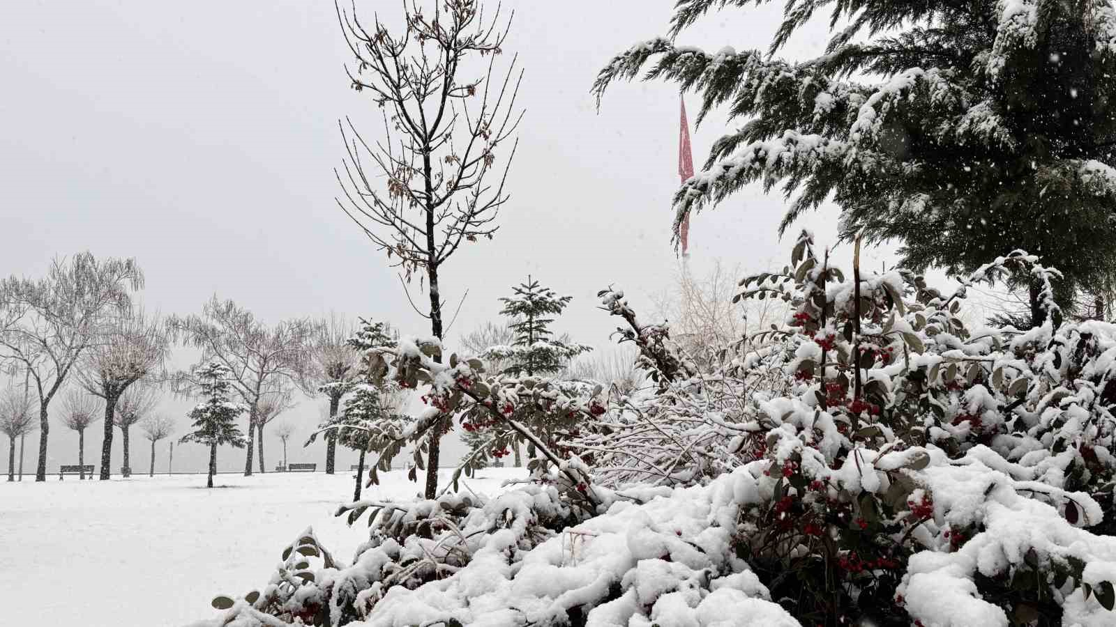 Tatvan&rsquo;da kar yağışı başladı
