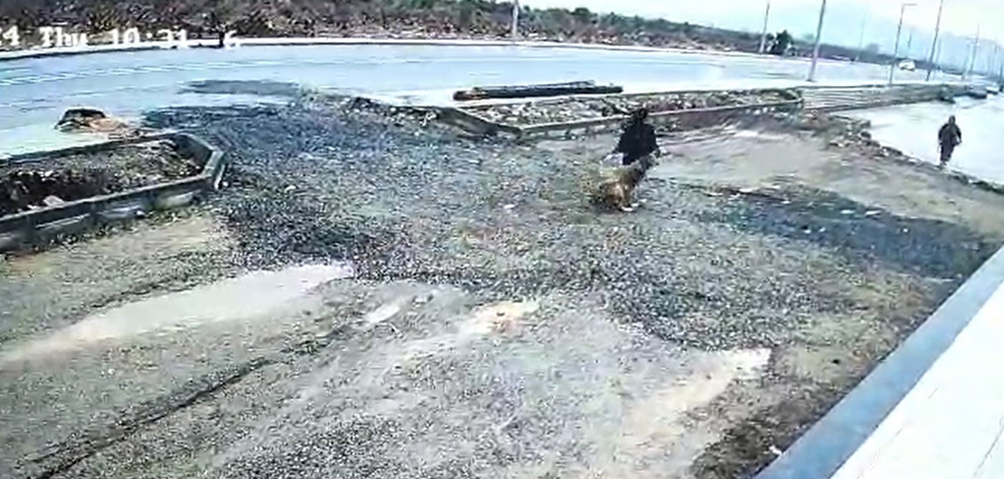 Gaziantep&rsquo;te başıboş k&ouml;pek kız &ccedil;ocuğuna saldırdı
